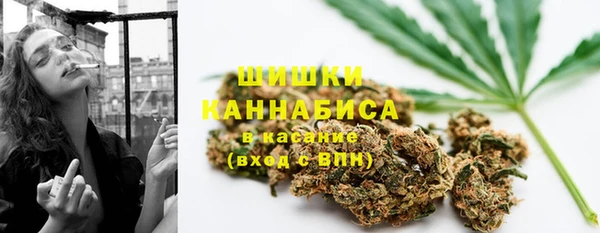 стаф Балахна