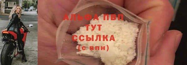 стаф Балахна