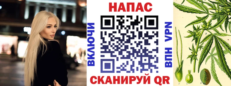 Канабис план  Шарыпово 